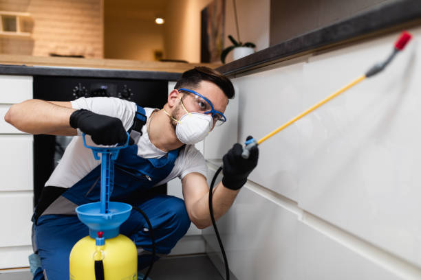 Best Pest Inspection Near Me  in River Road, OR