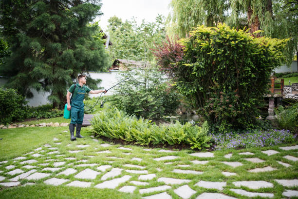 Best Affordable Pest Control Services  in River Road, OR