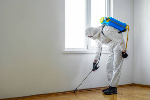 Best Best Pest Control Companies  in River Road, OR
