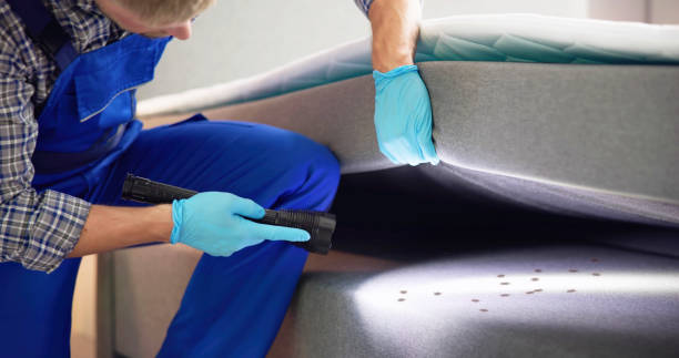 Best Ant Control Services  in River Road, OR