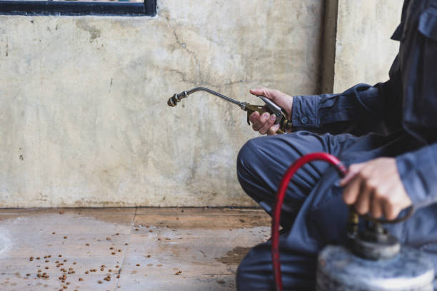 Best Wasp Removal Services  in River Road, OR